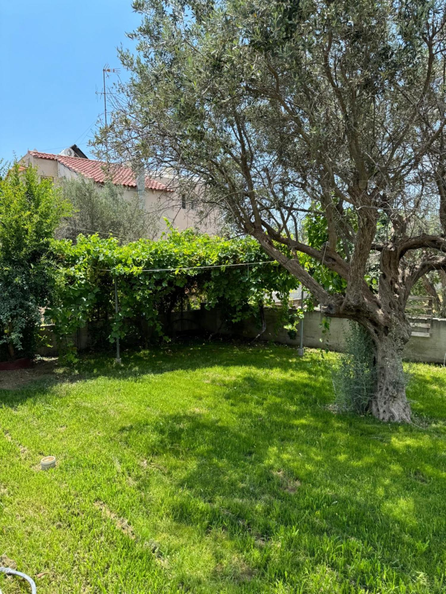 Fotis House 2 Daire Afantou Dış mekan fotoğraf